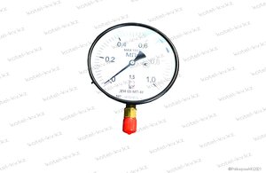 Манометр ДМ2005 Сг 10.0 кгс см2